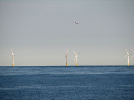 Offshore-Windmills, Norfolk, England, 2008