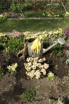 Garden tools among spring flowering parterre vertical