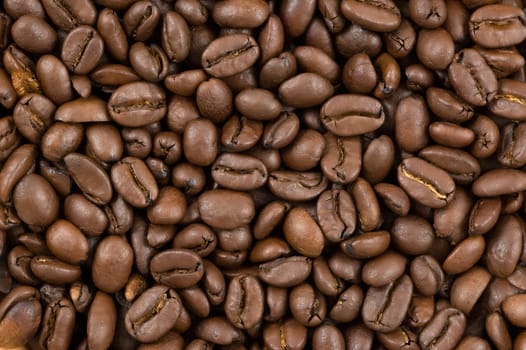 Coffee beans background, close up studio shot.