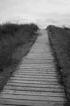 A single path leading into the horizon.