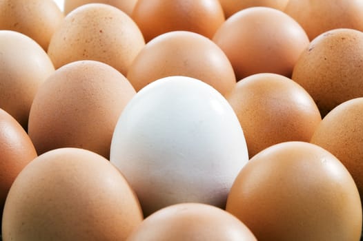Closeup of chicken eggs background.