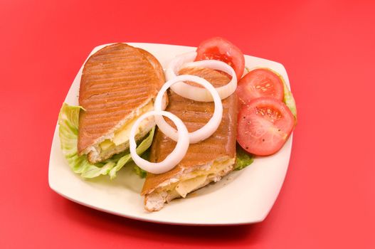 
	
Sandwich with cheese, onions and tomatoes and lettuce on a platter 