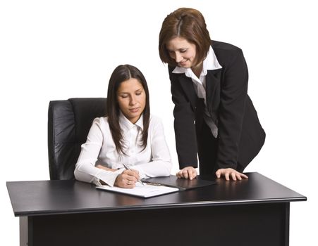 Two businesswomen working together in an office.