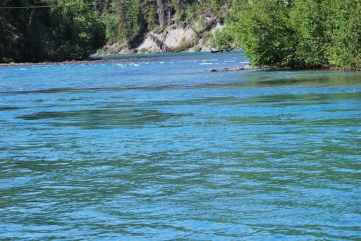 Showing the teal blue waters of the Kenai River in Alaska