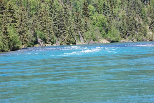 A small rapid on the Kenai River in Alaska