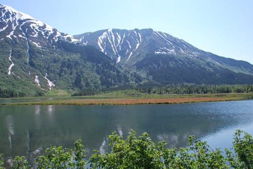 A lake in summer