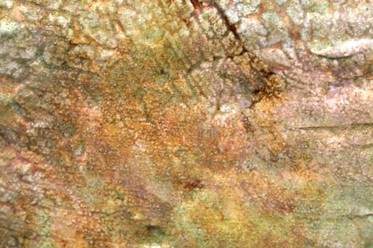 Multicolored grunge rock background in various hues