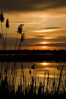 The river on a beautiful decline