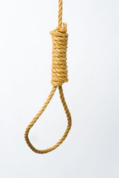 A hangman's noose hangs with a white background.
