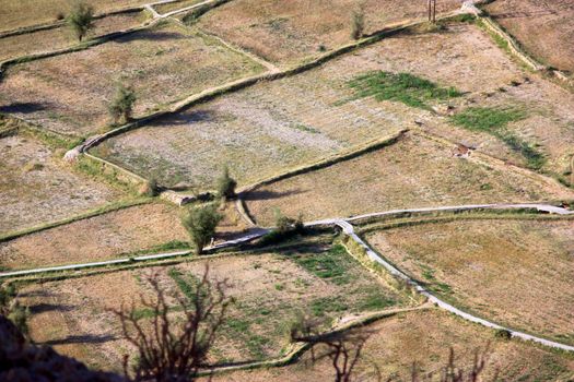 dry fields view from above