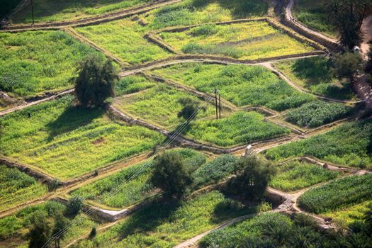 green fields view from above