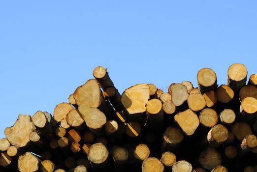 pile of timber and blue sky