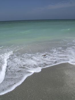 waves breaking on the beach on the gulf of mexico