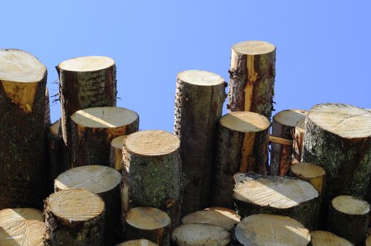 pile of timber and blue sky