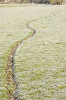 footpath weaving through a frosty field in winter