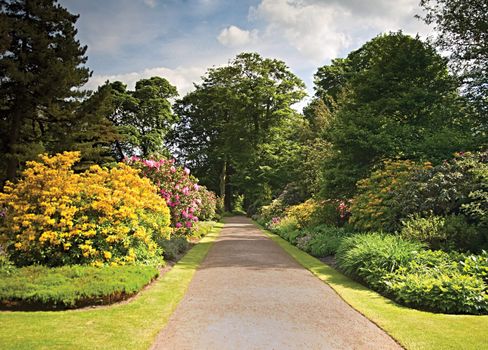 A path through a glorious garden