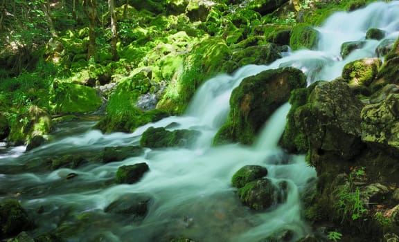 Water spring with cascade in the forest surrounded by rocks, trees and moss.