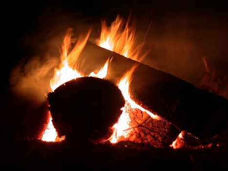 The tongues of flame, campfire, a night