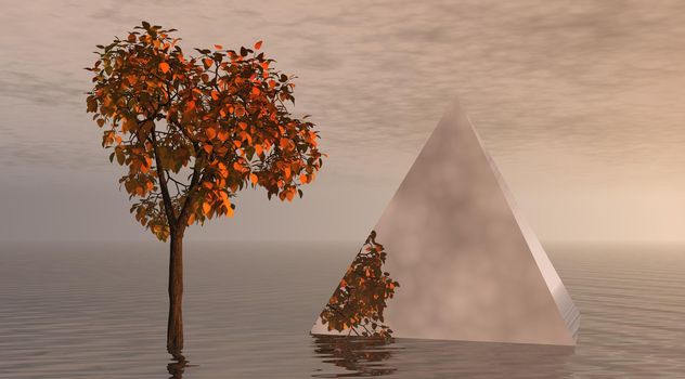 tree orange and pyramid mirror