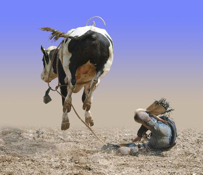 Cowboy Falling of a Bucking Bull isolated with path 
      