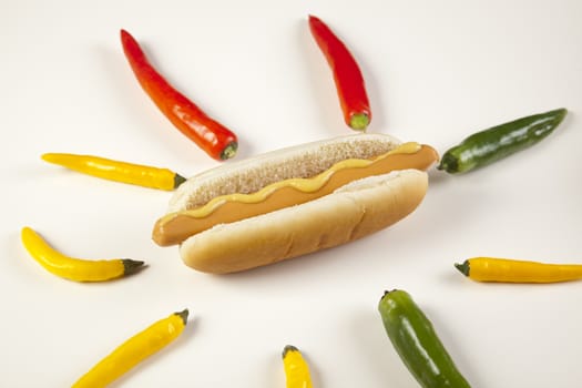 Hot dog on white with soft shadow