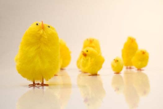 Small yellow estern toys on white background