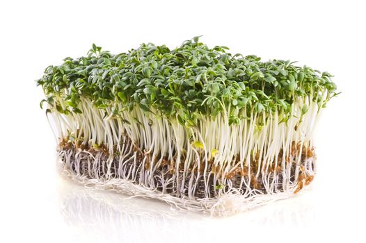 Fresh cress, isolated on a white background.