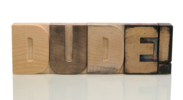 the word 'dude' in wood letters isolated on white