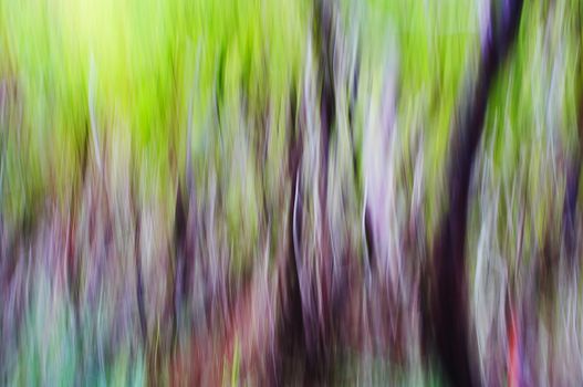 abstract forest pan