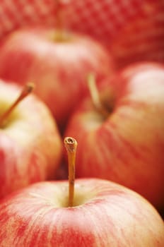 New harvest apples in basket