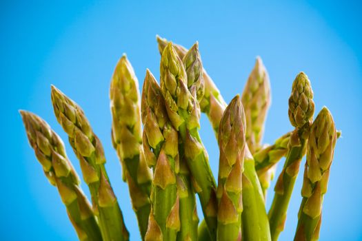 Pile of asparagus on the kitchen table