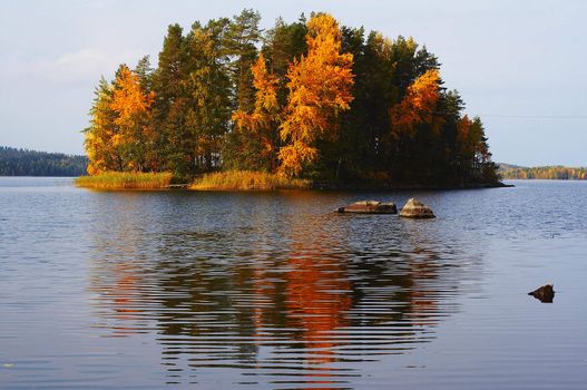 Island with autumn colors