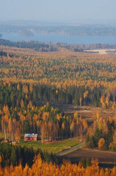 Autumn landscape