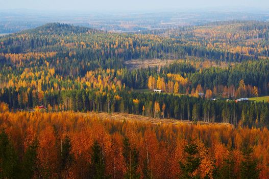 Autumn landscape from V�is�l�nm�ki, Finland