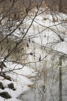 Thawing forest with small river