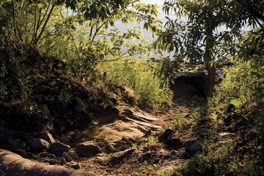 Path leading to shore of a body of water