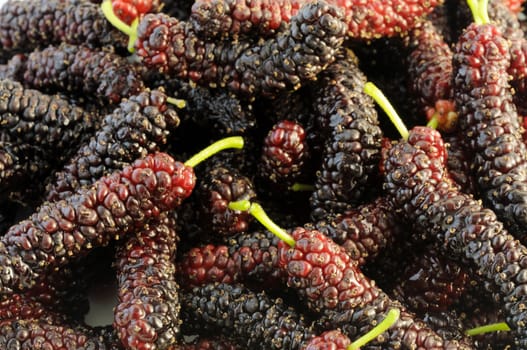 Freshly-picked ripe Persian mulberries with bright green stems.