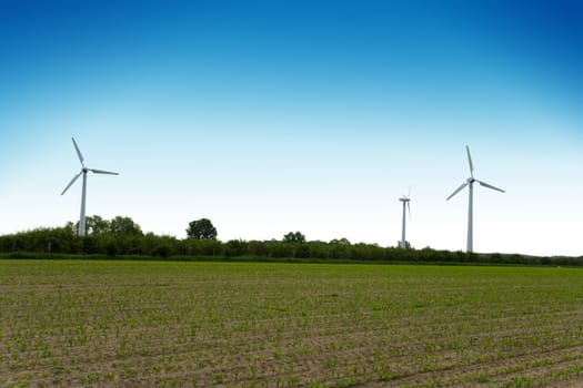 Wind turbines farm on field. Alternative energy source.