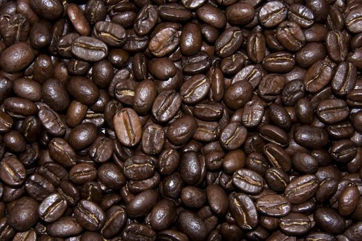 Brown coffe beans texture background