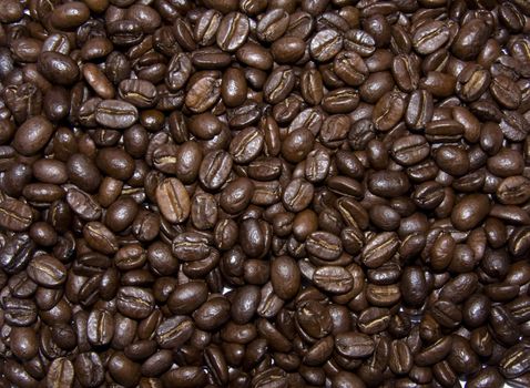 Brown coffe beans texture