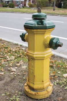 Green and yellow fire hydrant on street corner