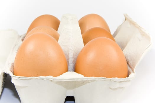 Six eggs in carton isolated on white