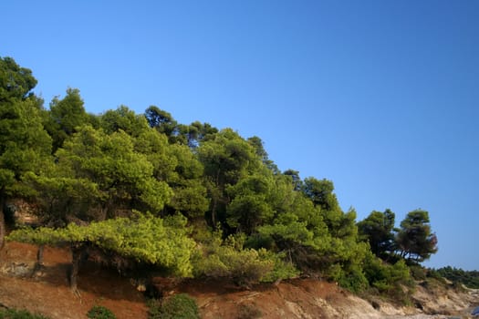 Sea green shore over blue sky