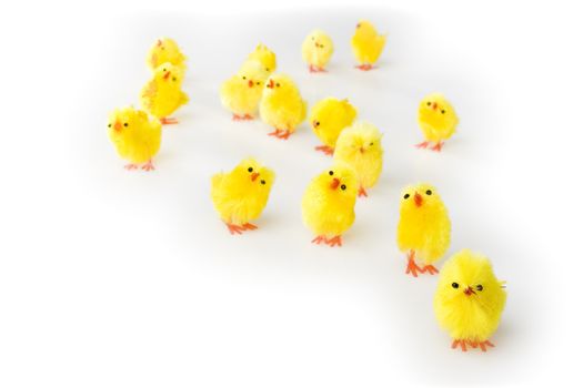Group of easter toy chicks on white background