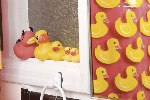 Rubber ducky sitting on windows ledge in bathroom appartement