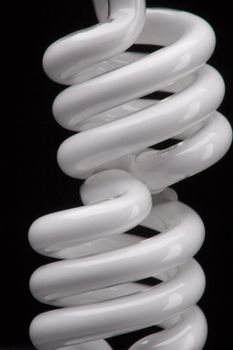 two head of spiral bulb one on top of the other