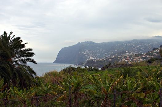 Landscape from Madeira, Portugal