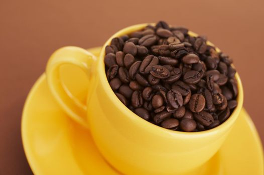 Coffee cup filled with beans
