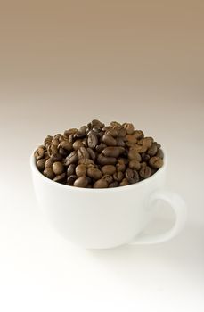 White coffee cup filled with coffee beans on white-brown gradient background.
