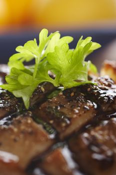 Close-up of duck fillet with parsley on the top